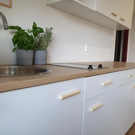 Studio Zubrowa Danzig