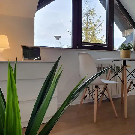 Studio Zubrowa Gdansk