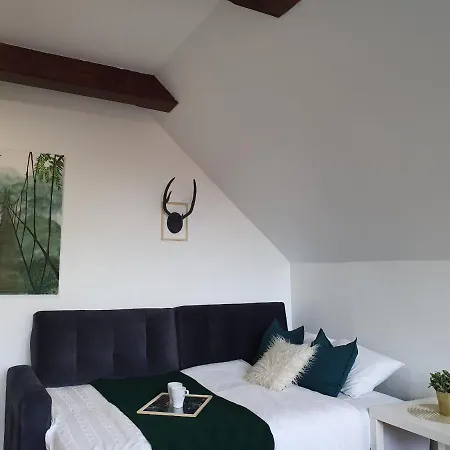 Studio Zubrowa Appartement