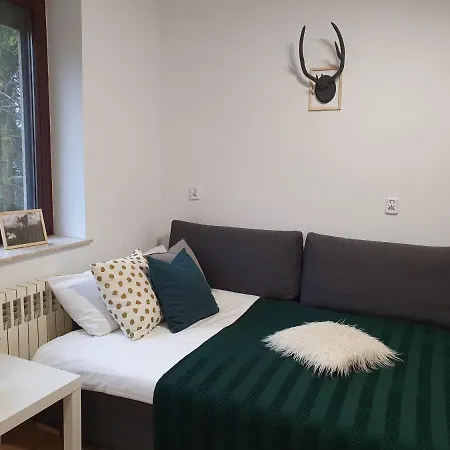 Apartment Studio Zubrowa *