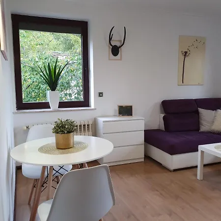 Apartment Studio Zubrowa *