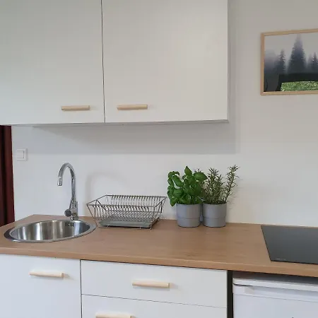 Apartment Studio Zubrowa