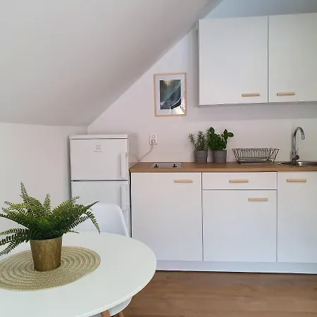 Studio Zubrowa Appartement