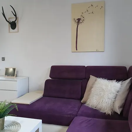 Studio Zubrowa Appartement *